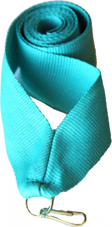 Лента (шир.22 мм)  V2-TEAL