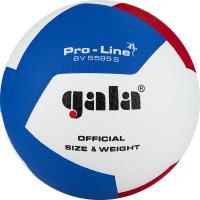 Мяч вол. "GALA Pro-Line 12" арт. BV5595SA, р. 5,синт.кожа ПУ Microfiber,клееный,бут.кам,бело-гол