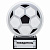 Награда DR 01023 футбол (дерево, металл, H-23 см)