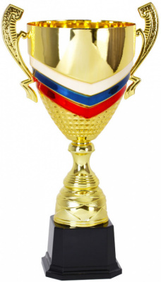 Кубок 1523C (51 см) D-200